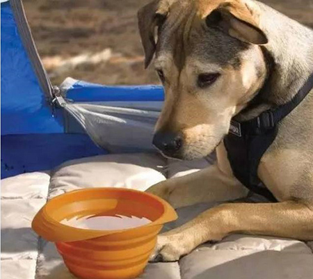 東莞<a href='http://m.3d-international.com/' class='keys' title='點(diǎn)擊查看關(guān)于帝博硅膠制品廠的相關(guān)信息' target='_blank'>帝博硅膠制品廠</a>